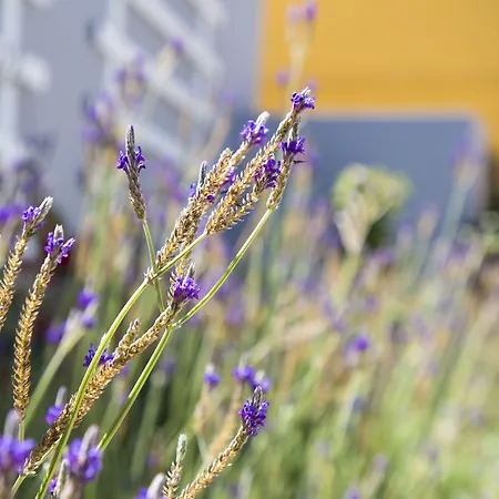 酒店 奥卡特鲁斯酒店 2*